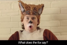 Quel est le cri du renard ?